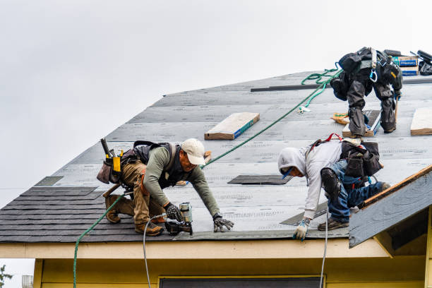 Professional Roof Replacement technician working in Leonard, MI