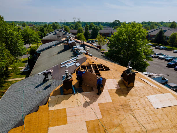 24/7 Emergency Roof Replacement experts in Leonard, MI